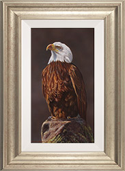 Wayne Westwood, British Wildlife Artist at York Fine Arts