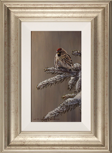 Wayne Westwood, Original oil painting on panel, Forest Frost, Redpoll in Winter 