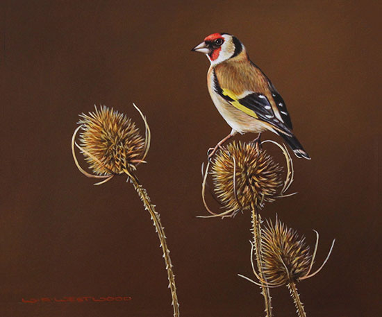 Wayne Westwood, Original oil painting on panel, Goldfinch Without frame image. Click to enlarge