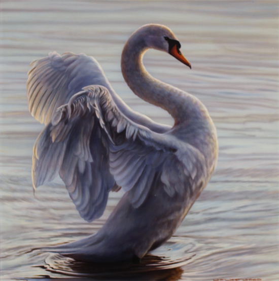 Wayne Westwood, Original oil painting on panel, White Swan