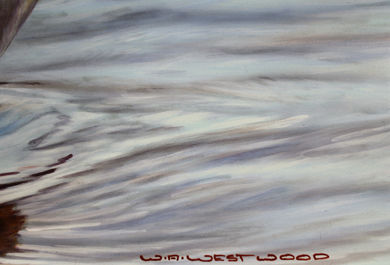 Wayne Westwood, Original oil painting on panel, White Swan Signature image. Click to enlarge