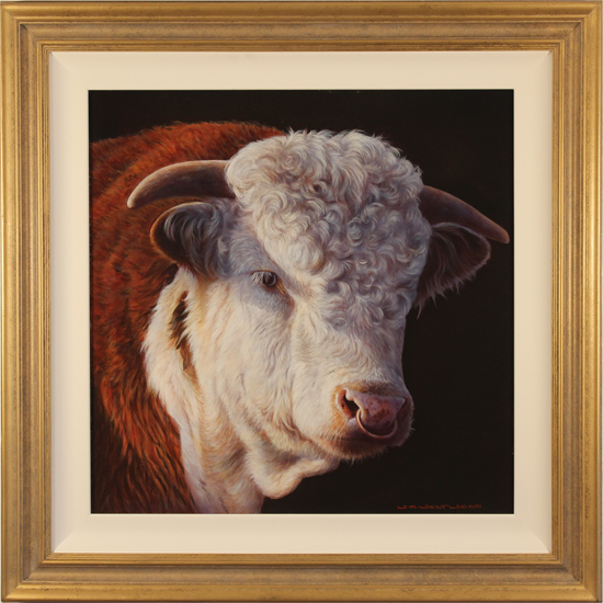 Wayne Westwood, Original oil painting on panel, The Hereford Bull, click to enlarge