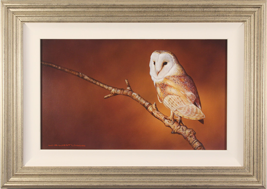 Wayne Westwood, Original oil painting on panel, Barn Owl, click to enlarge