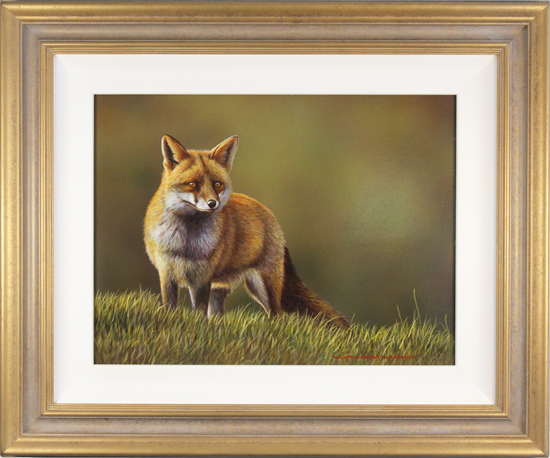 Wayne Westwood, Original oil painting on panel, The Fox, click to enlarge