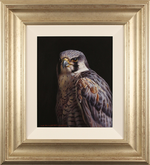 Wayne Westwood, Original oil painting on panel, Peregrine Falcon 