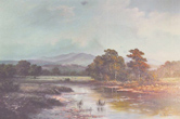 Large image, click to enlarge