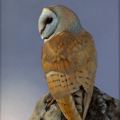 Wildlife and Animals, fine art category