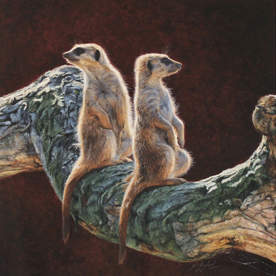 Exhibition image for Animalia 2018