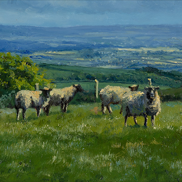 Stephen Hawkins, Summer Grazing, Yorkshire Dales, Original oil painting on panel