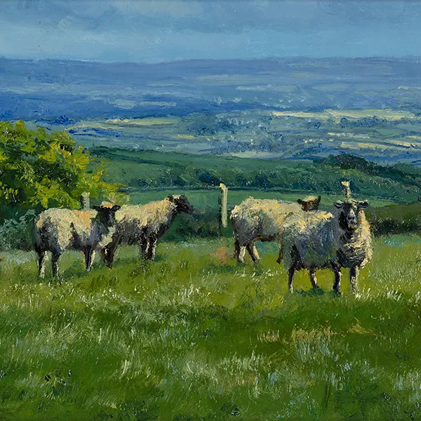 Stephen Hawkins, Summer Grazing, Yorkshire Dales, Original oil painting on panel