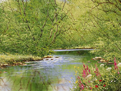 Modern Masters: Terry Evans and Claude Monet