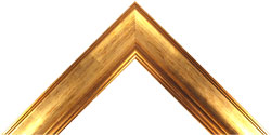 Gold frames