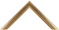 Richmond Antique gold (slim) frames